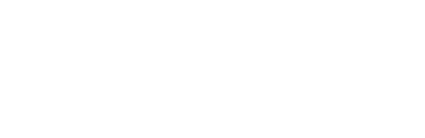 SpaceIndex Consultants